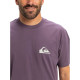 Quiksilver Ανδρική κοντομάνικη μπλούζα Ev Mini Logo - Short Sleeves T-Shirt